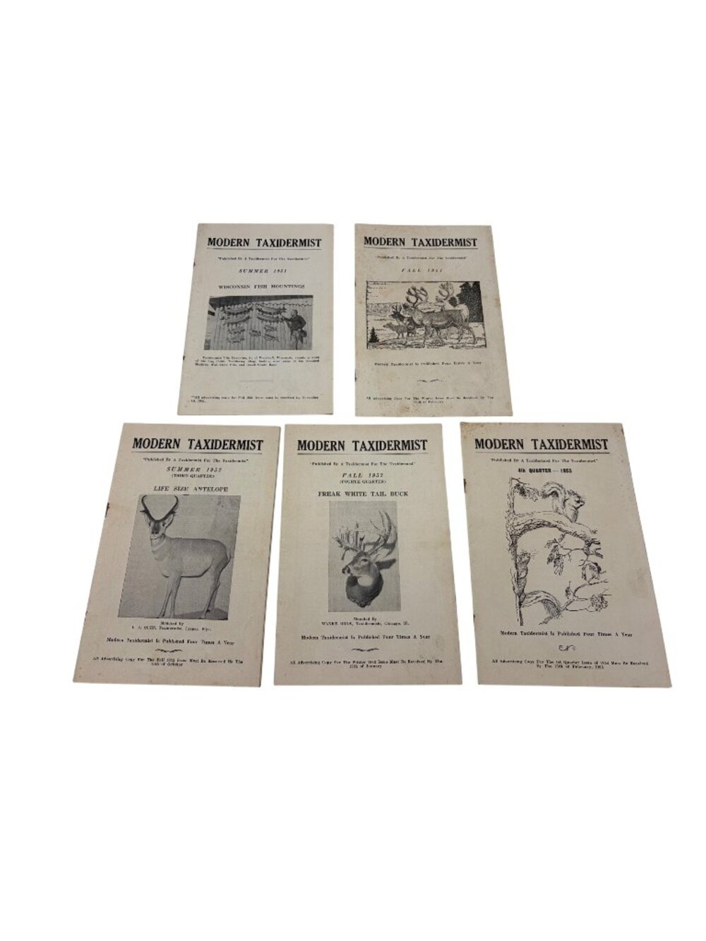 Vintage Modern Taxidermist Magazine Lot 1951 1952 1953 Hunting Ads Art Taxidermy